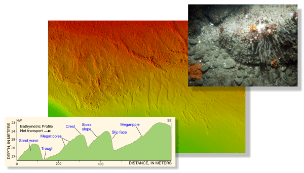 Image of multibeam bathymetry, sand-wave profiles, and bottom photograph from the study area in Block Island Sound