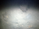 Thumbnail of a photograph of the sea floor, click to view full scale photograh.