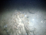 Thumbnail of a photograph of the sea floor, click to view full scale photograh.