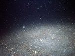 Thumbnail of a photograph of the sea floor, click to view full scale photograh.