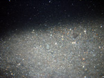 Thumbnail of a photograph of the sea floor, click to view full scale photograh.