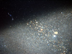 Thumbnail of a photograph of the sea floor, click to view full scale photograh.