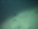 Thumbnail of a photograph of the sea floor, click to view full scale photograh.