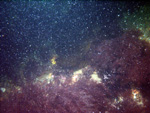 Thumbnail of a photograph of the sea floor, click to view full scale photograh.