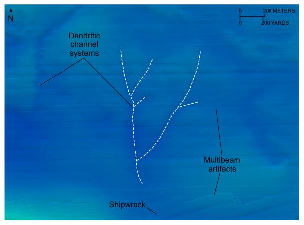 Figure 28. Image of channels in the eastern part of the study area.