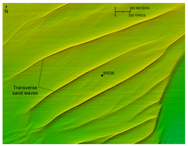 Figure 31. Image of sand waves in the study area.