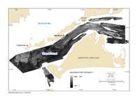 Thumbail image for Figure 6, map showing acoustic backscatter intensity of the seafloor in the vineyard sound survey area, and link to full-sized figure.