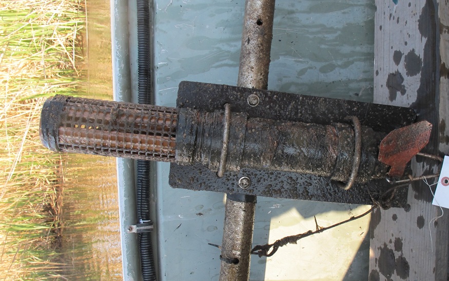 Thumbnail image of figure 4 and link to larger figure.  A photograph showing fouling on YSI sonde.