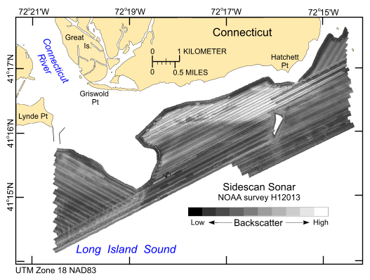 Thumbnail image showing the sidescan sonar imagery produced from data collected during NOAA survey H12013