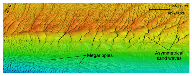 Figure 25. An image of bathymetric data showing a sand-wave field in the study area.