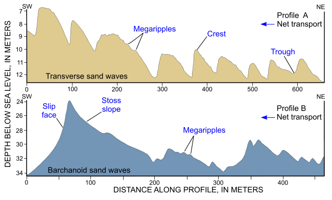 Figure 26. Profile of sand waves in the study area.