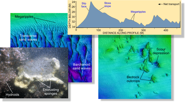 Image of multibeam bathymetry, sand-wave profile, and bottom photograph from the study area in Long Island Sound