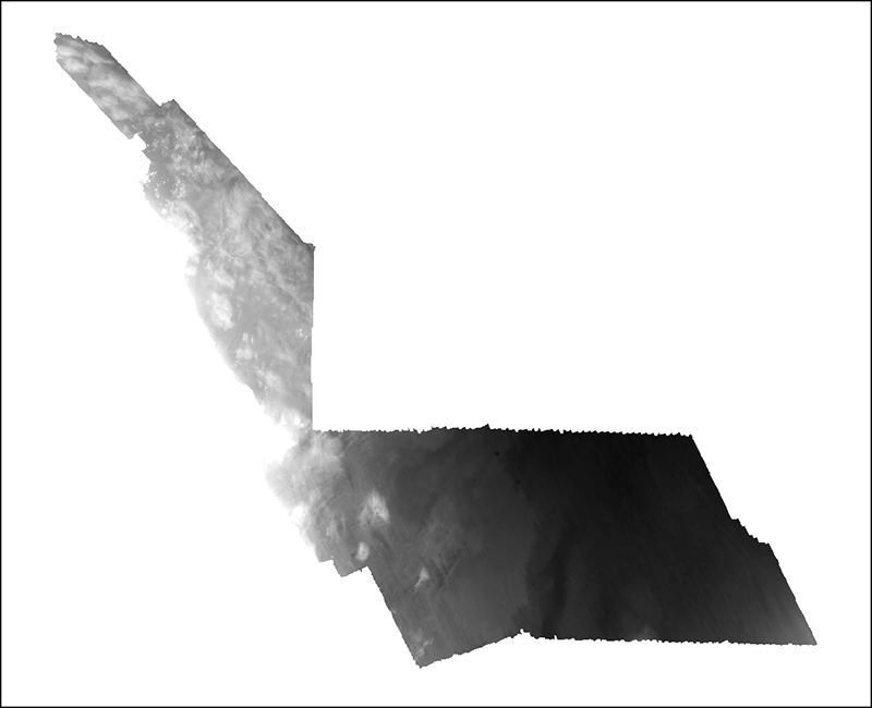 Utelev: Image of the interpolated transgressive surface as stored within ArcMap™ 9.3.1
