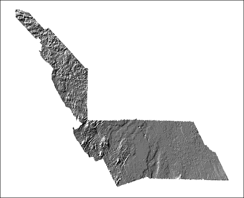 Image of the sun-illuminated interpolated bathymetric grid as stored within ArcMap™ 9.3.1