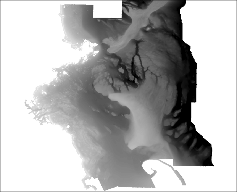 Image of the interpolated bathymetric grid as stored within ArcMap™ 9.3.1.