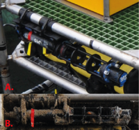 Thumbail
                        image for Figure 24, Photograph of the Seatech 25-centimeter transmissometer logged with the red PCADP.