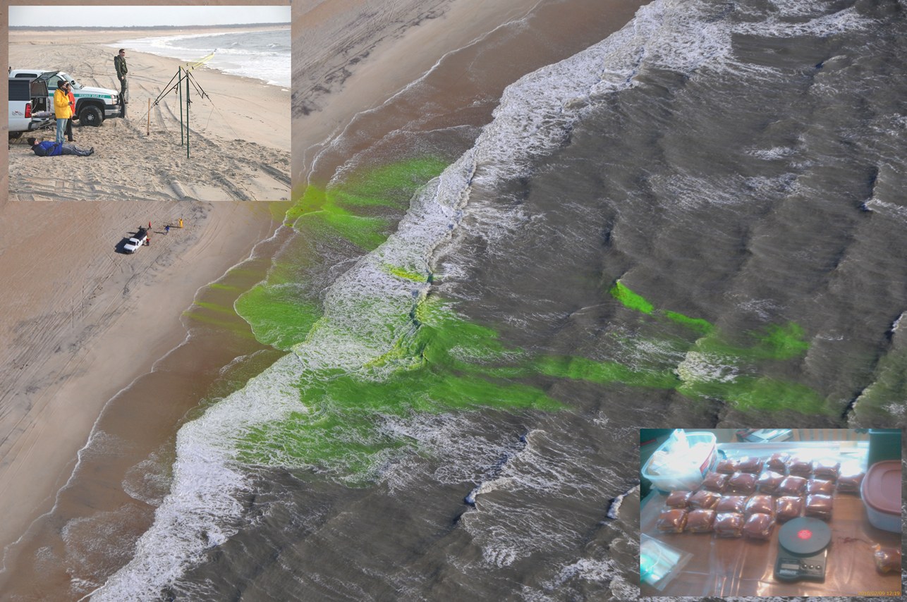 Figure 7,Aerial photograph of Uranine dye release in the surf zone (center). Slingshot used to launch dye packets into the surf (upper left) and dye packets (lower right).