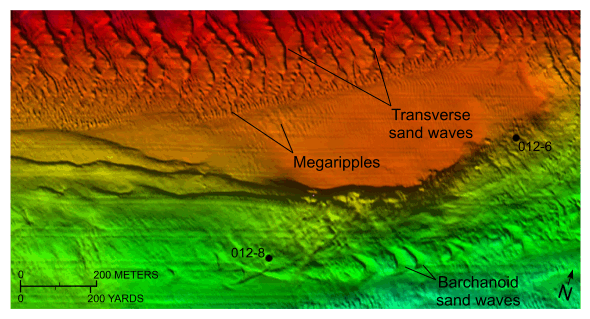 Figure 17. Detailed bathymetric image of sand waves in the study area.