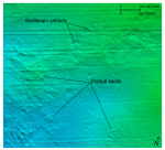 Thumbnail image of figure 22 and link to larger figure. Detailed bathymetric image of dredge spoils in the study area.