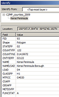 screen capture of arcmap identify dialog showing attributes