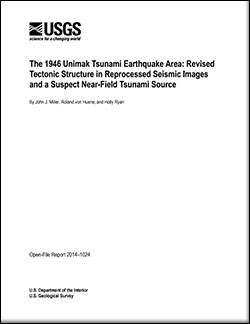 Thumbnail of and link to report PDF (8.4 MB)
