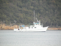 photograph of motor vessel tiki