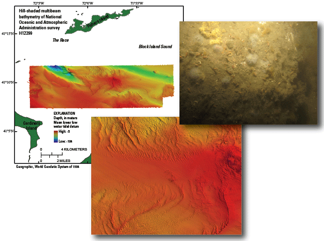 Images of multibeam bathymetry and a bottom photograph from the study area