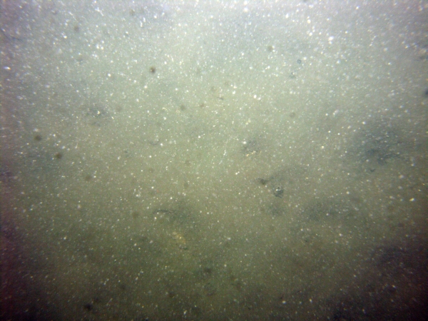 Image of seabed - photo.