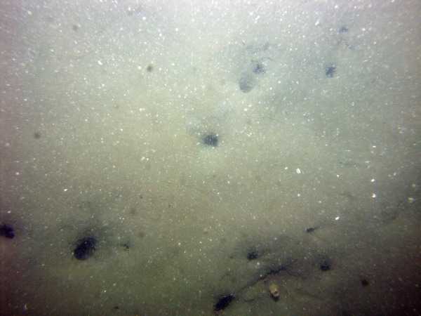 Image of seabed - photo.