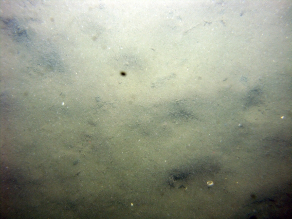 Image of seabed - photo.