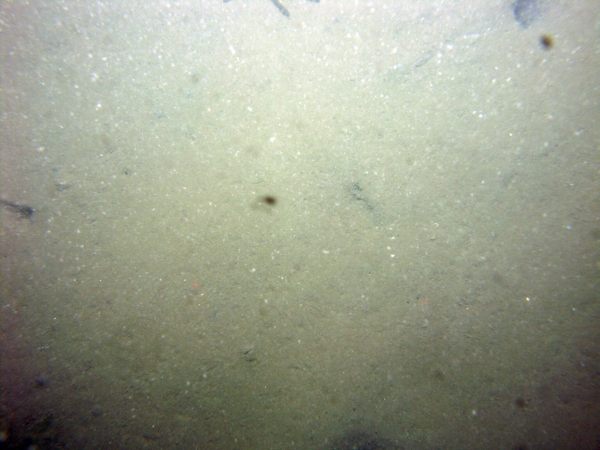 Image of seabed - photo.