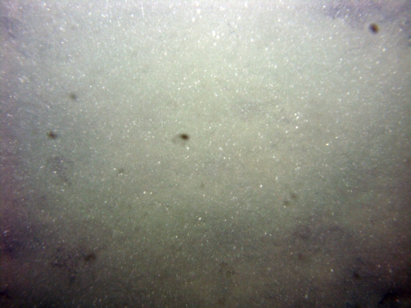 Image of seabed - photo.