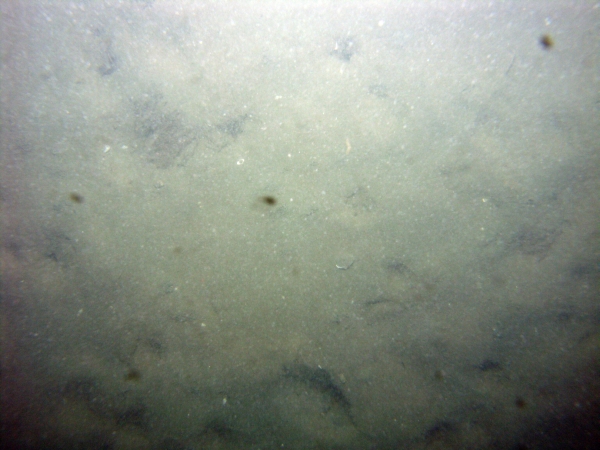 Image of seabed - photo.