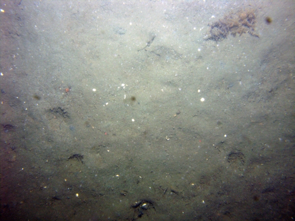 Image of seabed - photo.