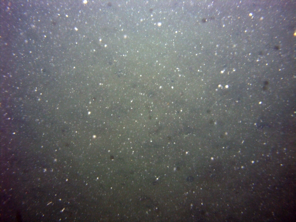 Image of seabed - photo.