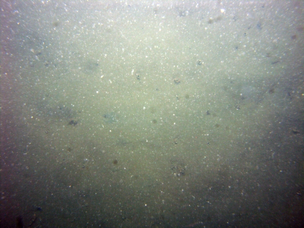 Image of seabed - photo.