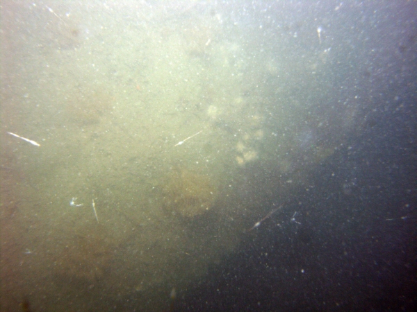 Image of seabed - photo.