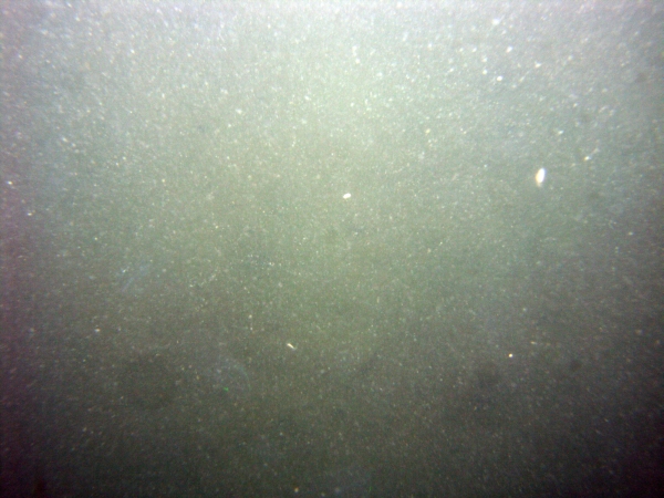 Image of seabed - photo.