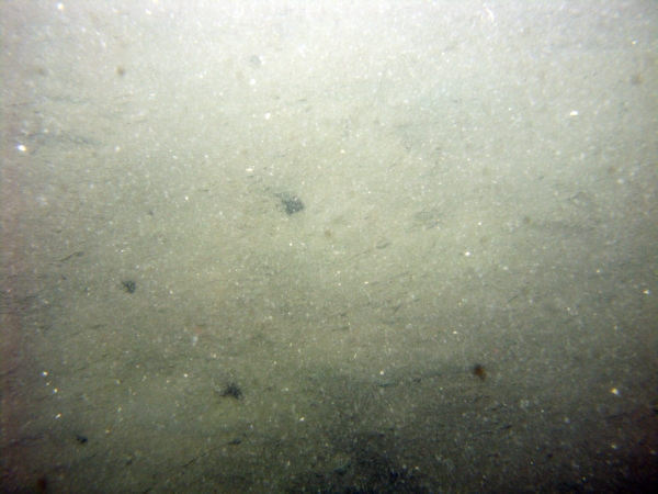 Image of seabed - photo.