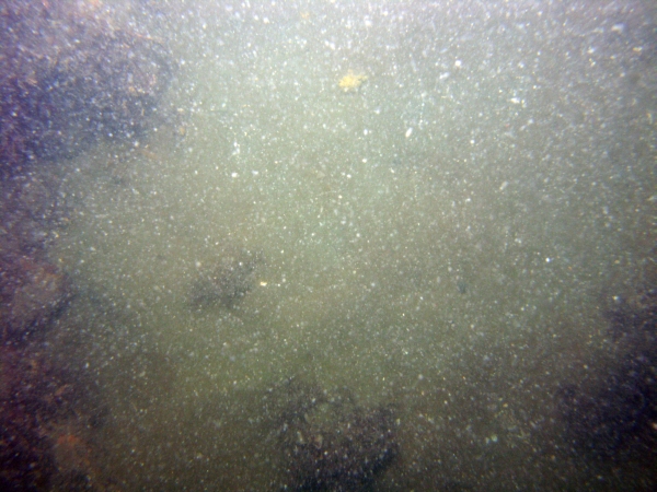 Image of seabed - photo.