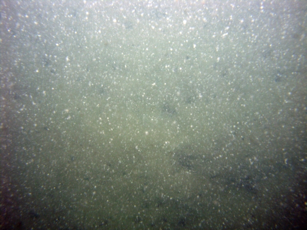 Image of seabed - photo.