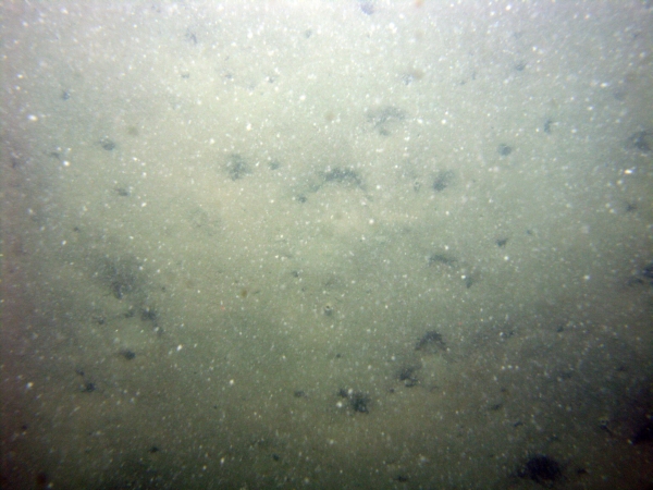 Image of seabed - photo.