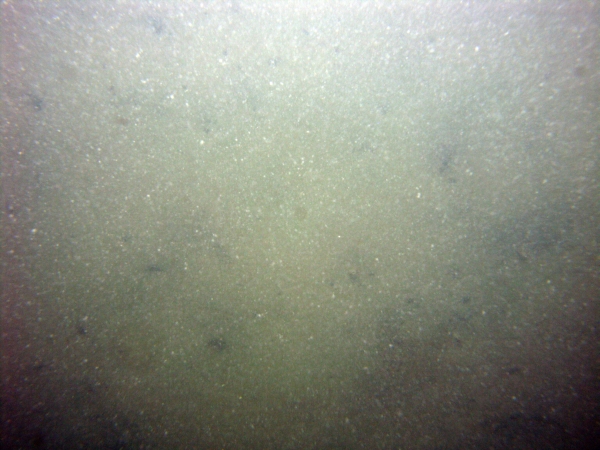 Image of seabed - photo.