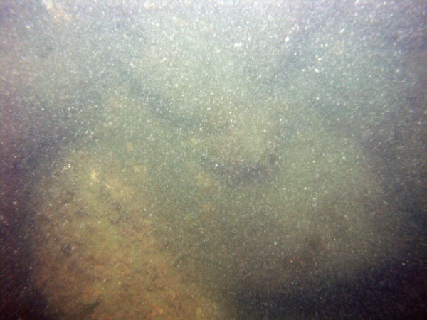 Image of seabed - photo.