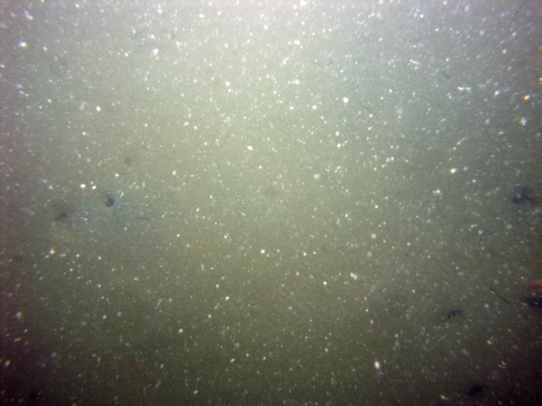 Image of seabed - photo.