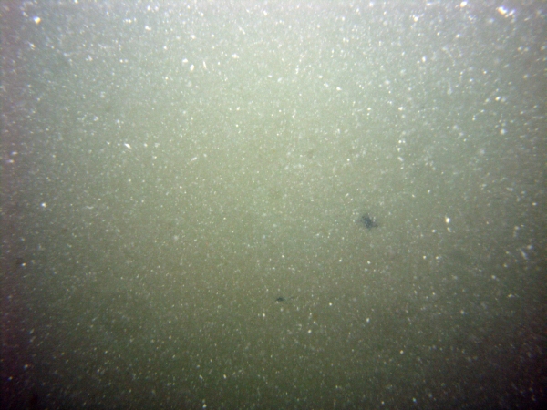 Image of seabed - photo.