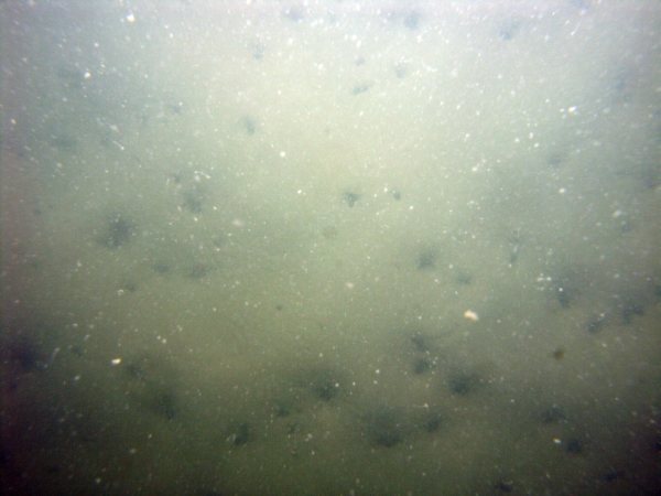 Image of seabed - photo.