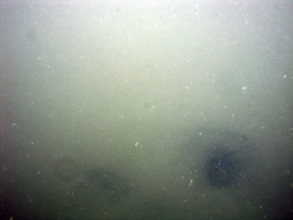 Image of seabed - photo.