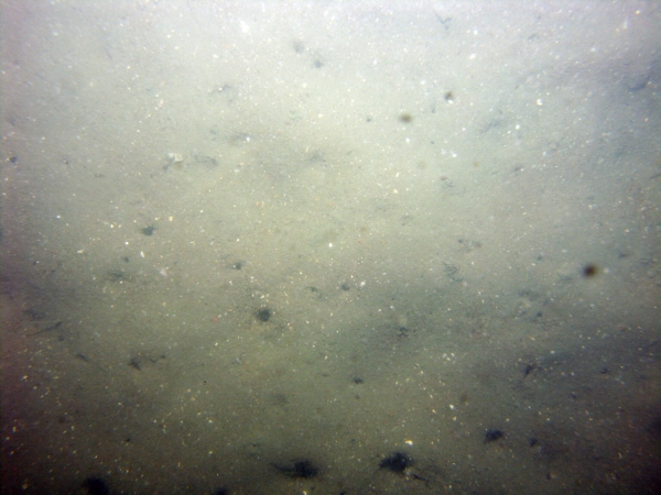 Image of seabed - photo.