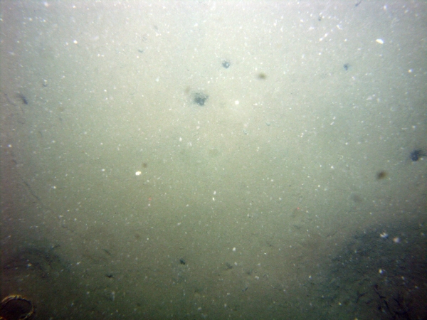 Image of seabed - photo.